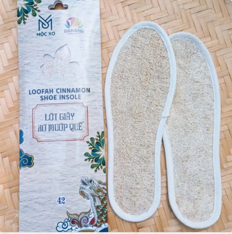 Lót Giày Xơ Mướp