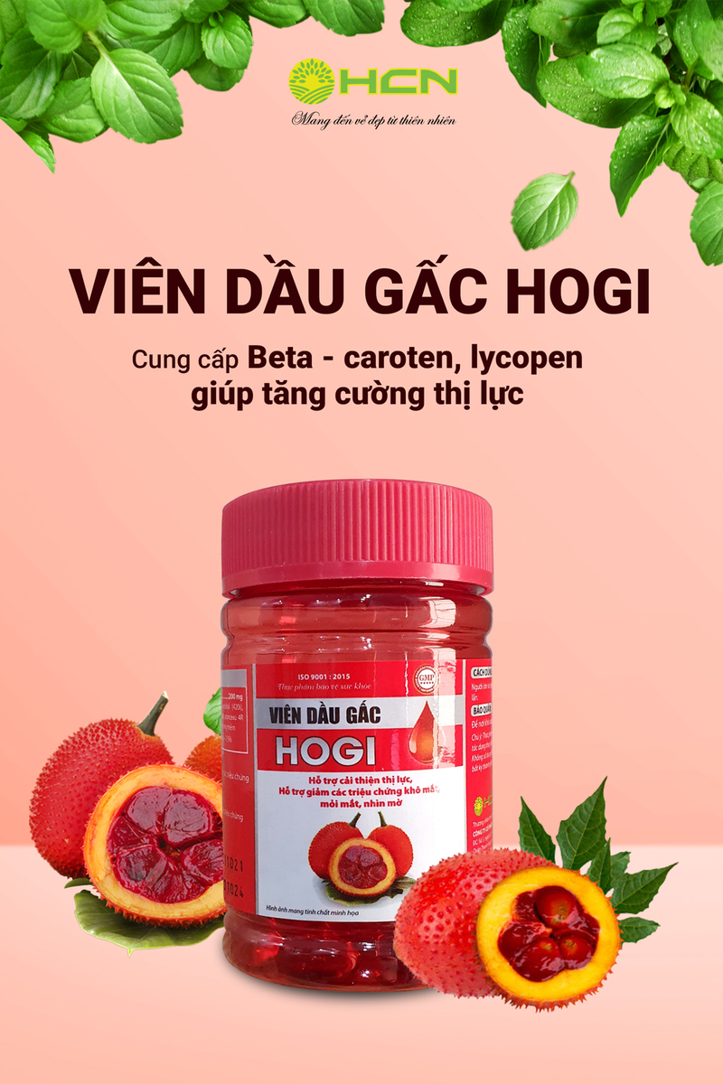 VIÊN DẦU GẤC HOGI - TĂNG CƯỜNG THỊ LỰC, GIẢM LÃO HÓA