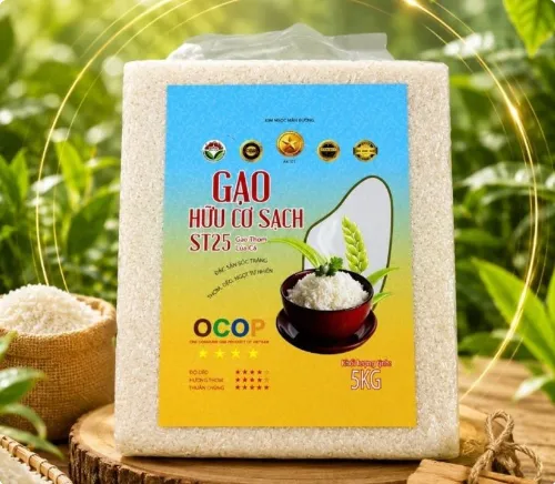 Gạo sạch hữu cơ LÚA CÁ - ST25