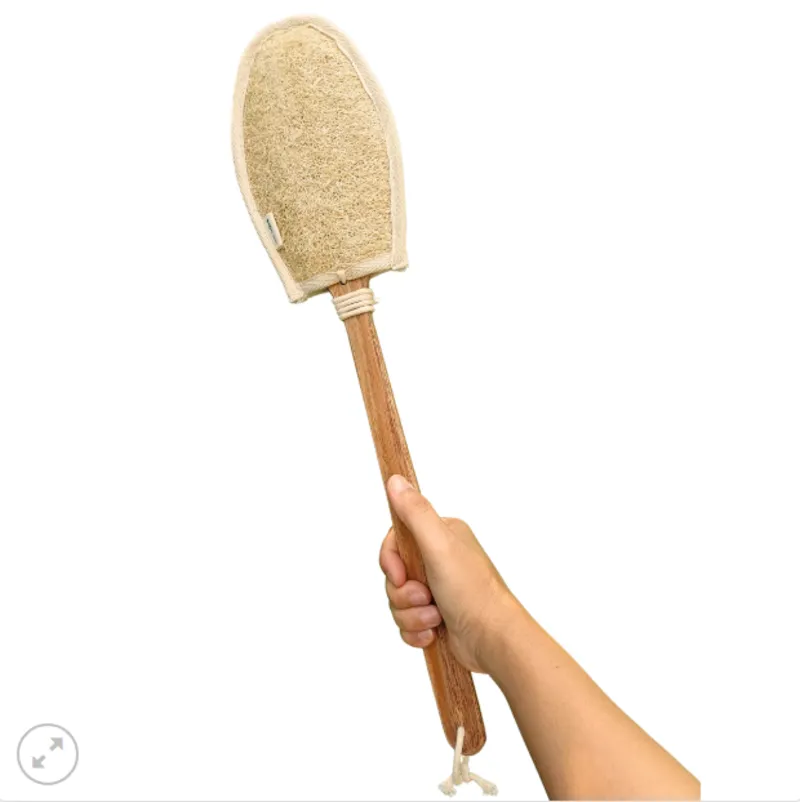 Cây Kỳ Lưng Xơ Mướp