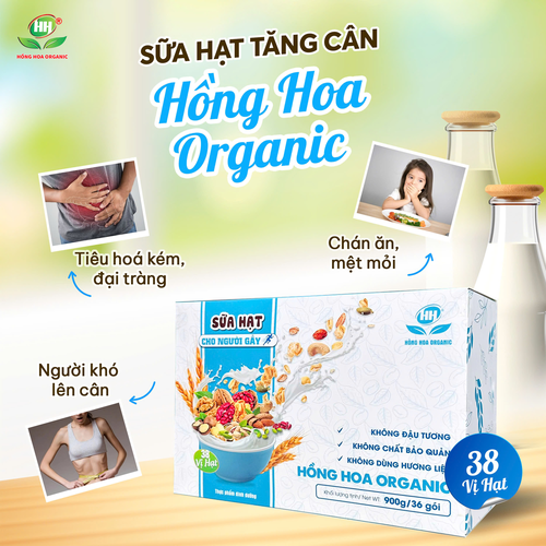 Sữa hạt cho người gầy – Sữa hạt thuần chay 38 vị hạt
