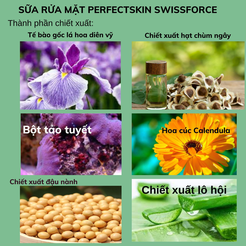 Sữa rửa mặt tạo bọt SWISSFORCE PERFECT SKIN