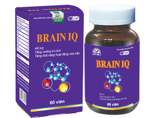 Tăng trí nhớ - Brain IQ