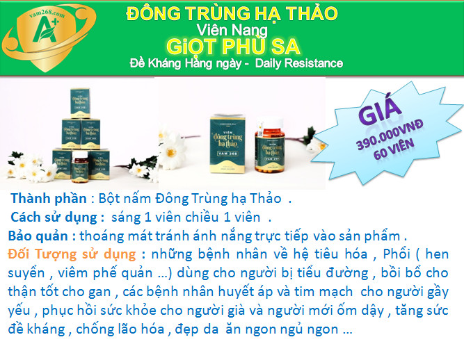 SỢI SẤY THĂNG HOA ĐÔNG TRÙNG HẠ THẢO