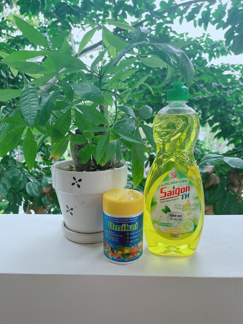 COMBO  BỘT NGÂM BẢO QUẢN RAU CỦ QUẢ THỊT CÁ UMIKAI + NƯỚC RỬA CHÉN SGTH 750GR