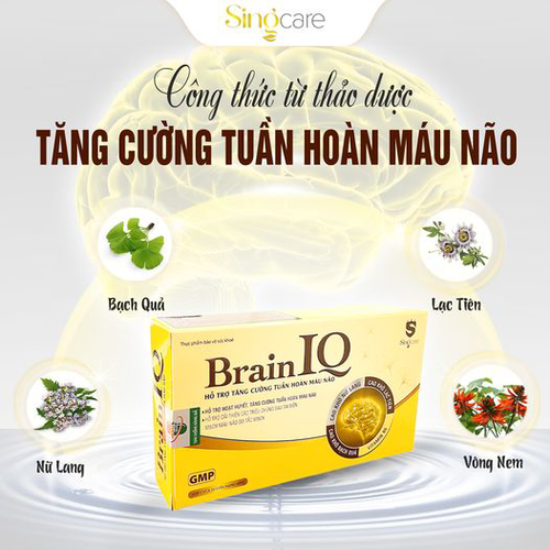 Thực Phẩm Bảo Vệ Sức Khỏe Brain IQ - Tăng Cường Tuần Hoàn Não, Ngủ Ngon, Cải Thiện Trí Nhớ