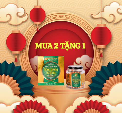 MUA 2 TẶNG 1)SỢI SẤY THĂNG HOA ĐÔNG TRÙNG HẠ THẢO