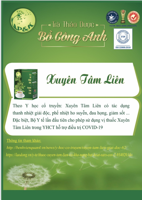 Trà Bồ Công Anh- Xuyên Tâm Liên