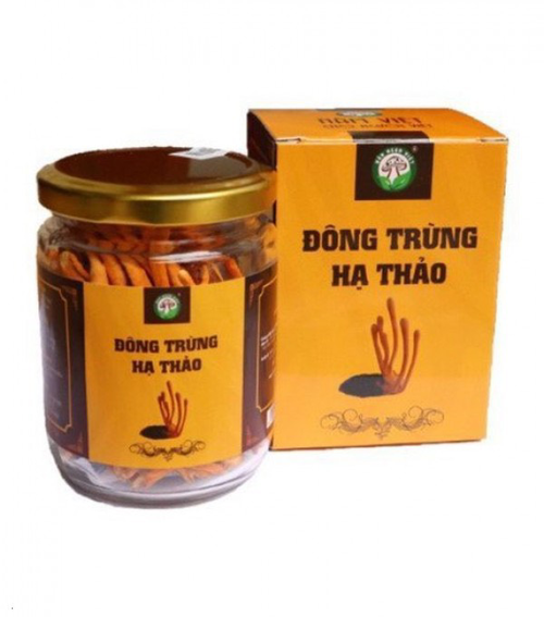 Đông Trùng Hạ Thảo Tiêu Chuẩn Sấy Thăng Hoa Đạt Chuẩn VietGap 10gram - Nấm Ngon Việt