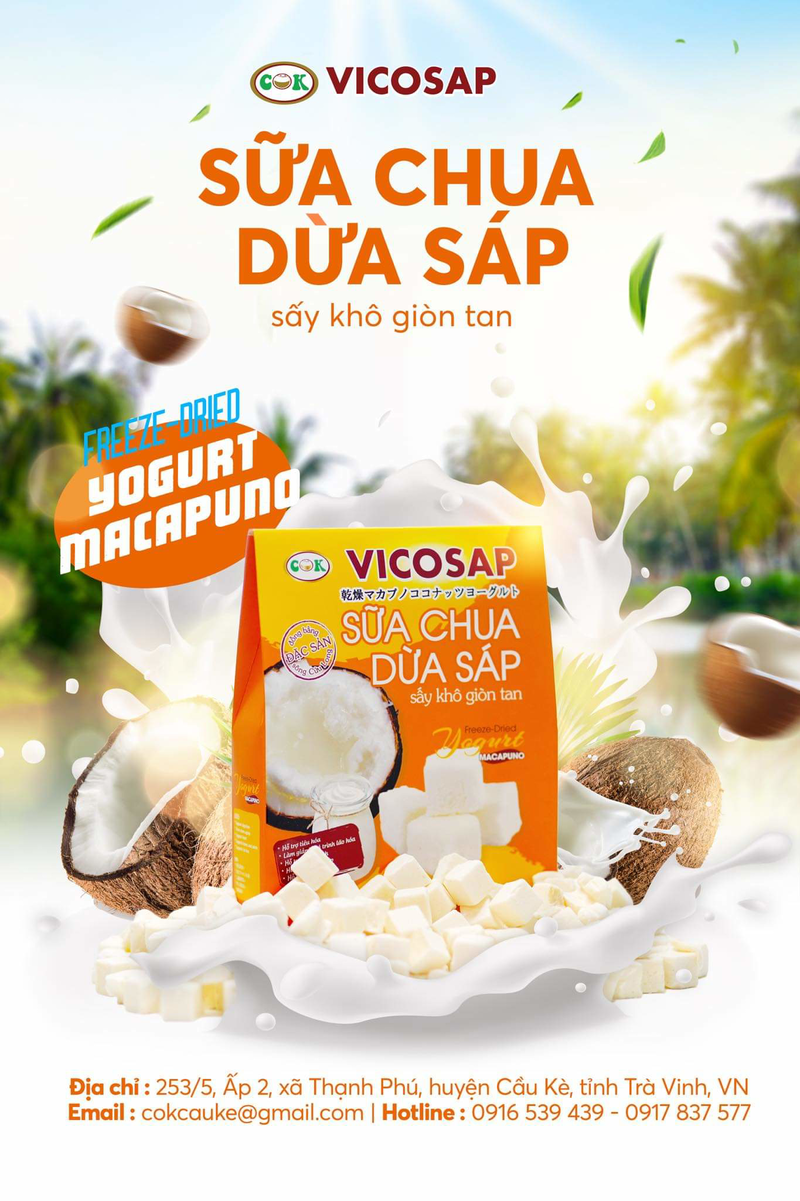 Sữa Chua Dừa Sáp Sấy Khô Giòn Tan [Hộp 25g]