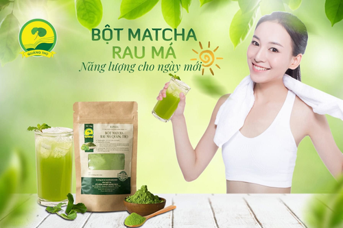 Bột Matcha rau má Quảng Thọ (gói 100gam)