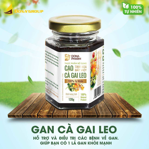 Cao Cà Gai Leo -Giải Độc Gan - Giải Rượu