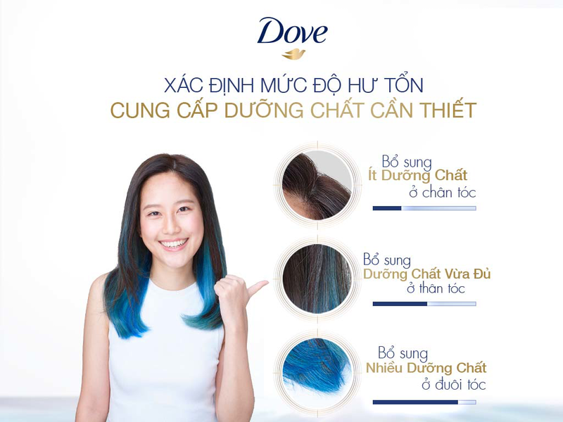 Dầu gội Dove phục hồi hư tổn 621ml