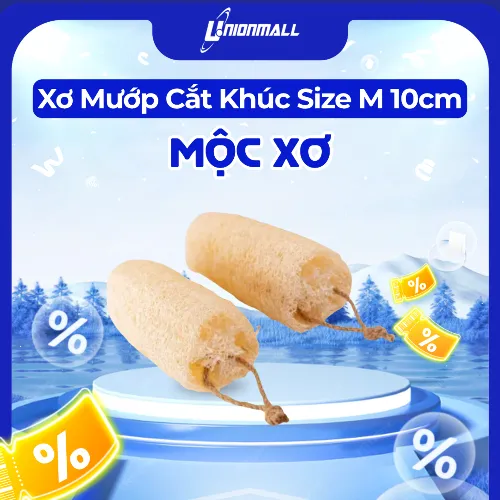 Xơ Mướp Cắt Khúc Size M 10cm