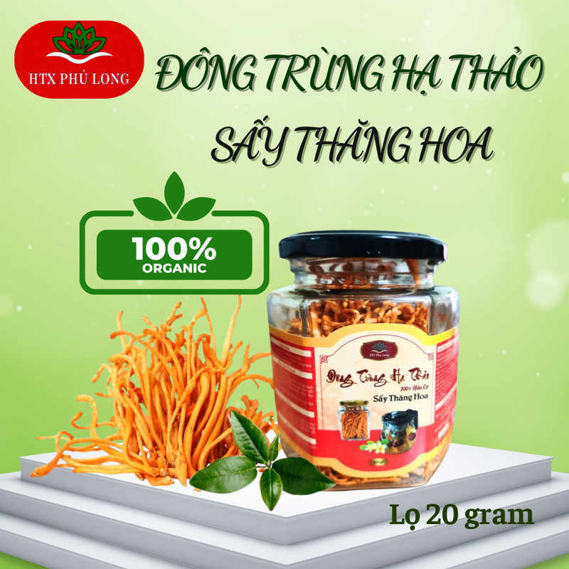 Đông Trùng Hạ Thảo sấy thăng hoa lọ 20 gr