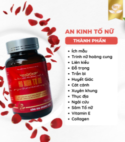An Kinh Tố Nữ hộp 900gr