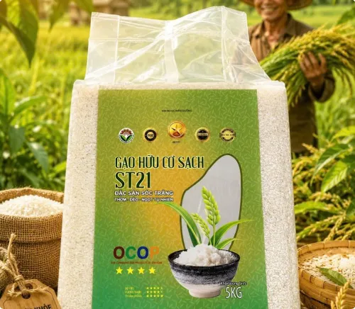 Gạo sạch hữu cơ ST21