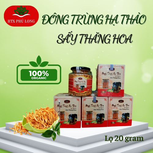 Đông Trùng Hạ Thảo sấy thăng hoa lọ 20 gr