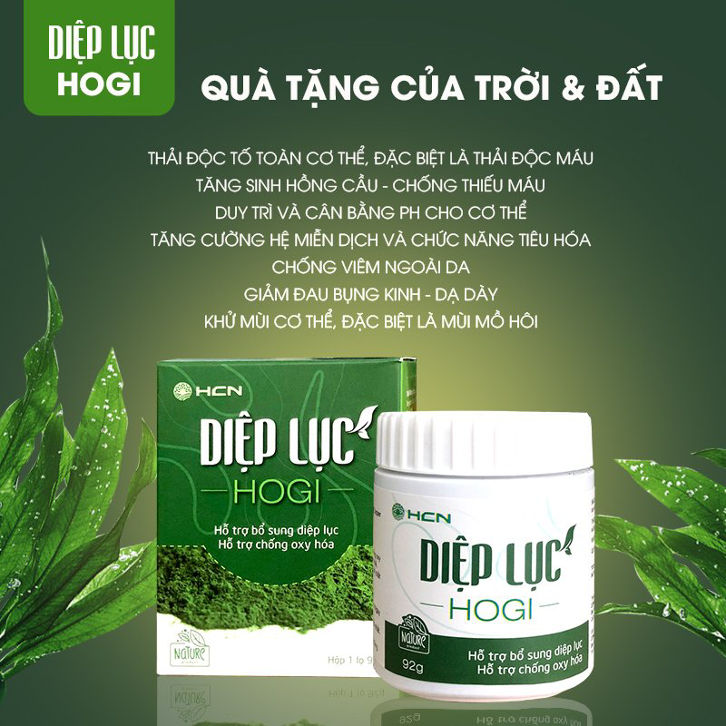 DIỆP LỤC HOGI