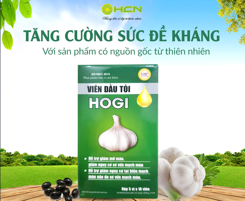 VIÊN DẦU TỎI HOGI - TĂNG SỨC ĐỀ KHÁNG