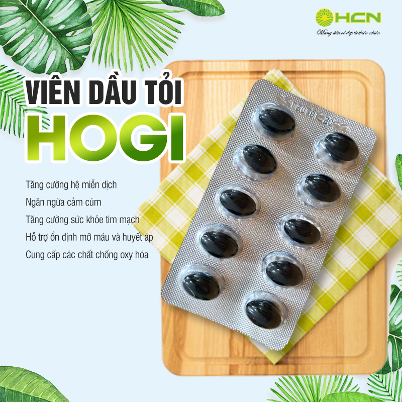 VIÊN DẦU TỎI HOGI - TĂNG SỨC ĐỀ KHÁNG