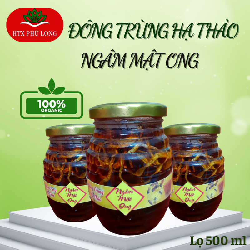 Đông Trùng Hạ Thảo Ngâm Mật Ong