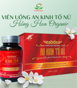 An Kinh Tố Nữ hộp 900gr