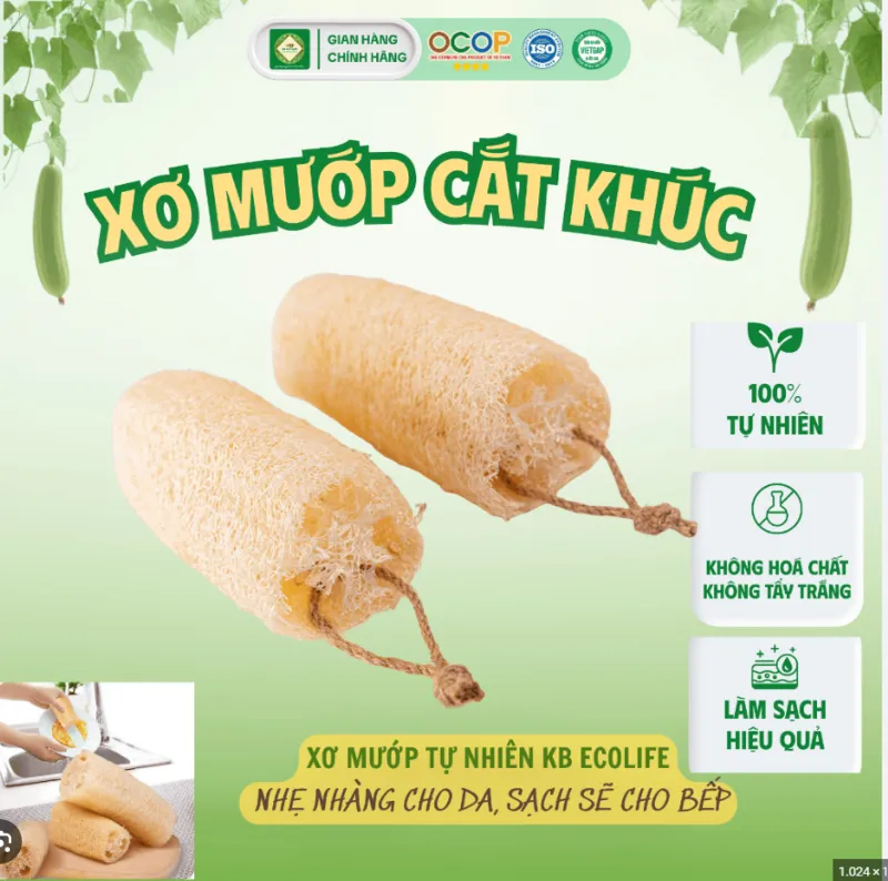 Xơ Mướp Cắt Khúc Size M 10cm