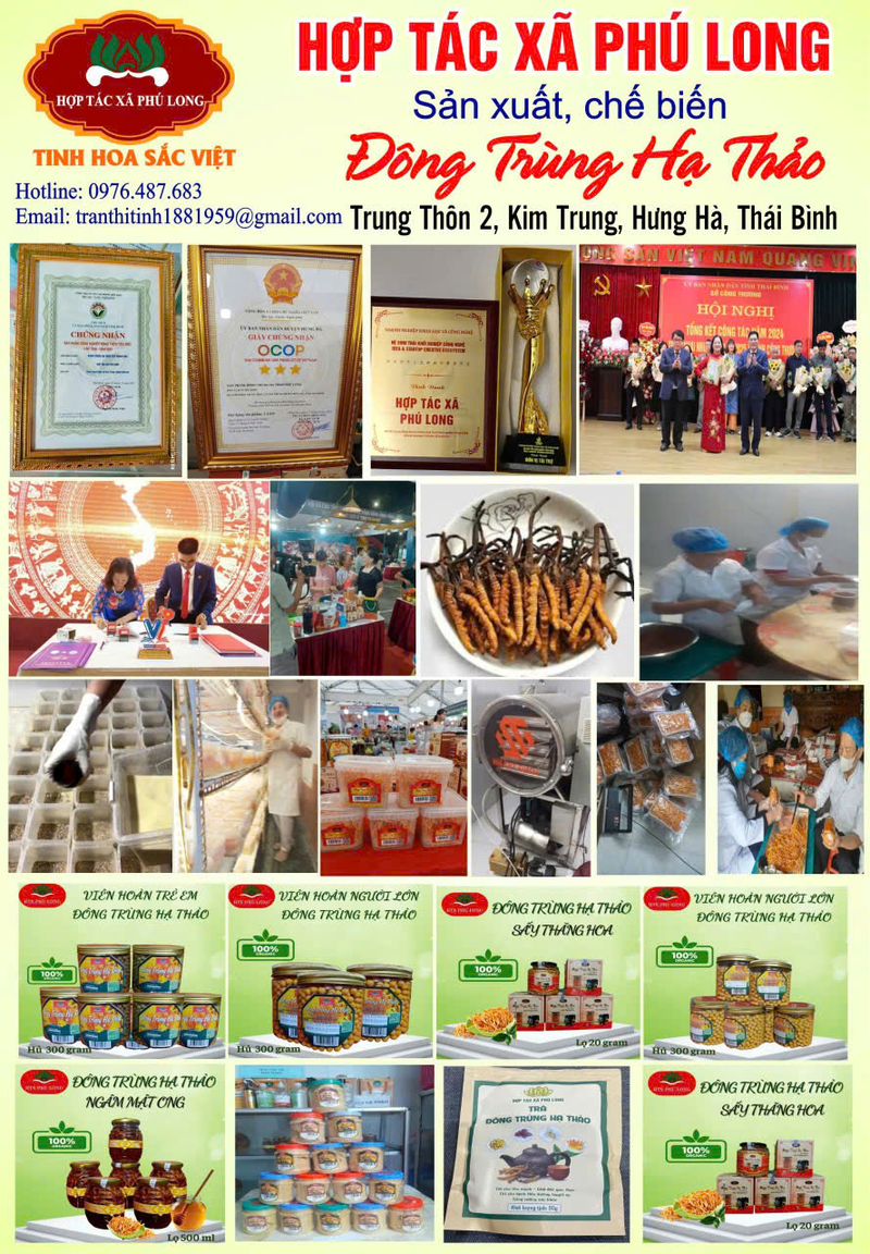 ĐTHT sấy thăng hoa hộp 20gram