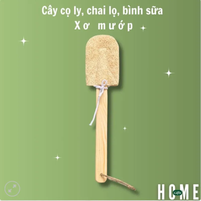 Cây Rửa Ly Xơ Mướp