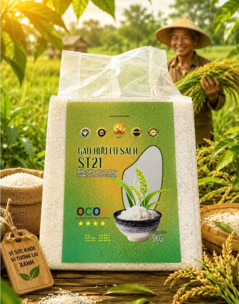 Gạo sạch hữu cơ ST21