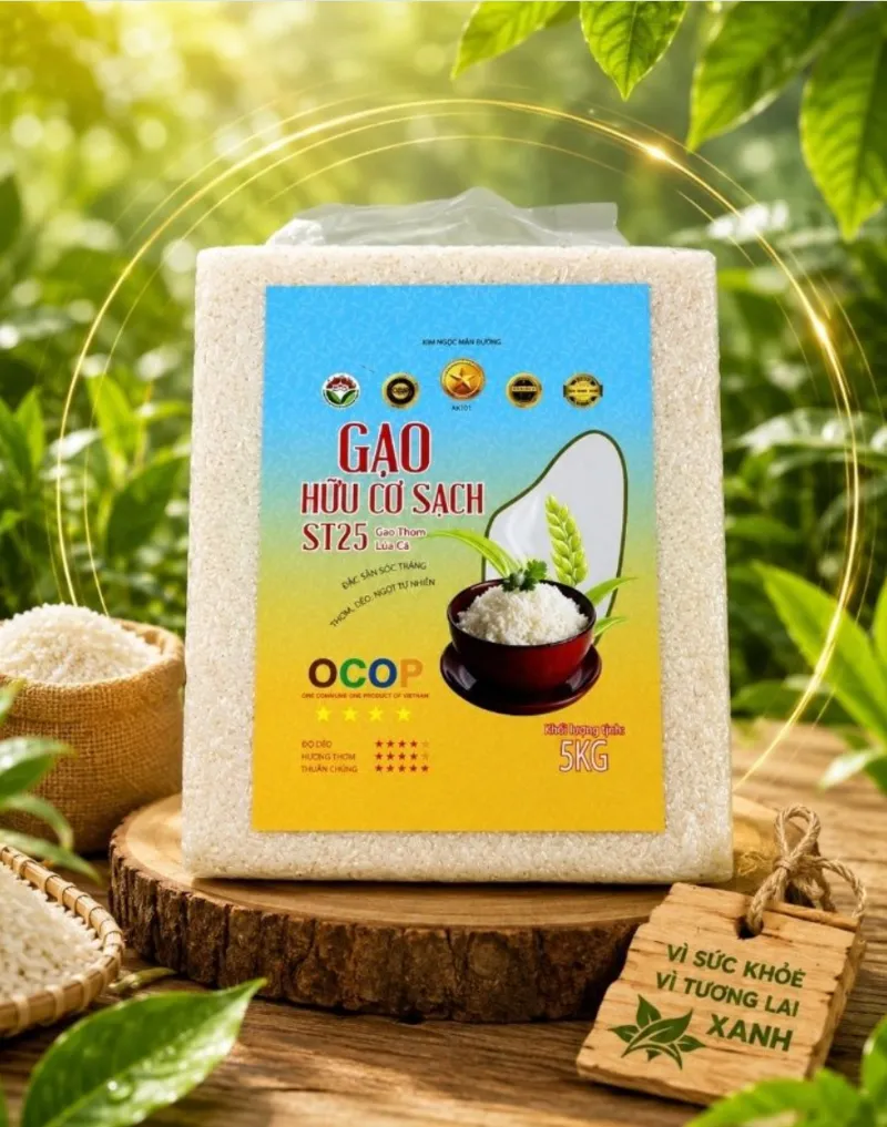 Gạo sạch hữu cơ LÚA CÁ - ST25