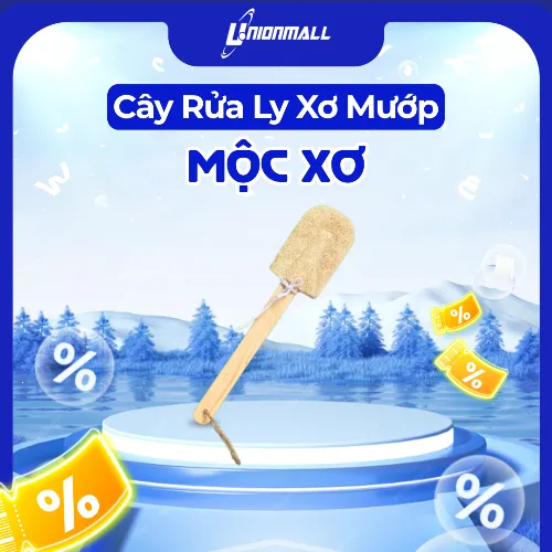 Cây Rửa Ly Xơ Mướp