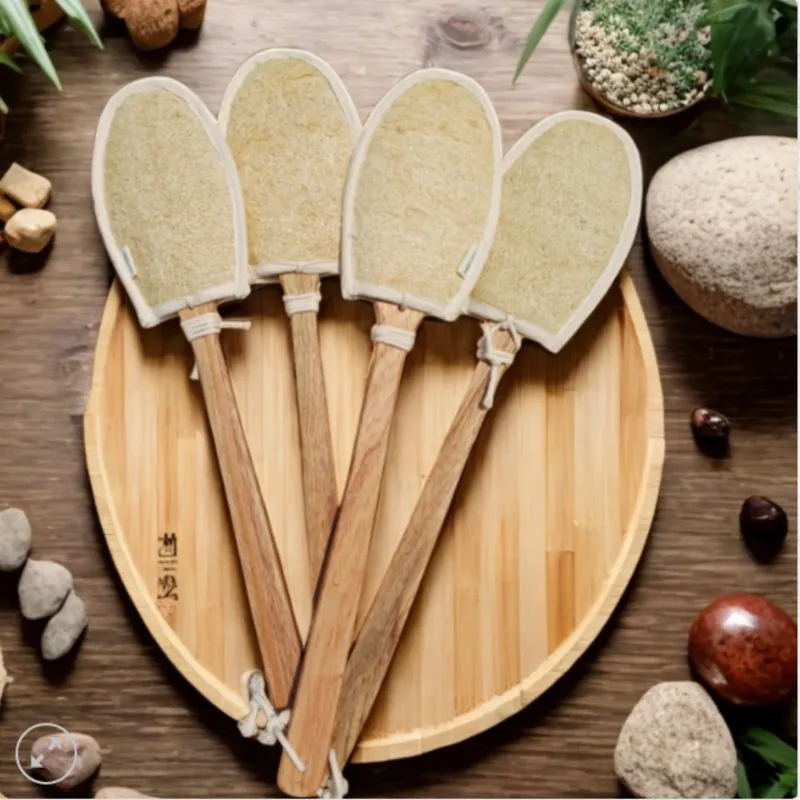 Cây Kỳ Lưng Xơ Mướp
