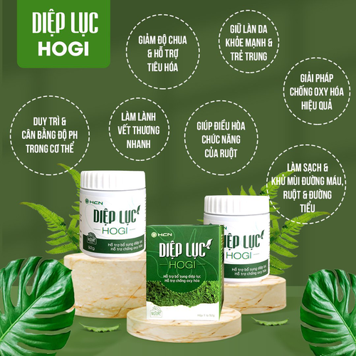 DIỆP LỤC HOGI