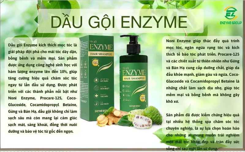 DẦU GỘI ENZYME