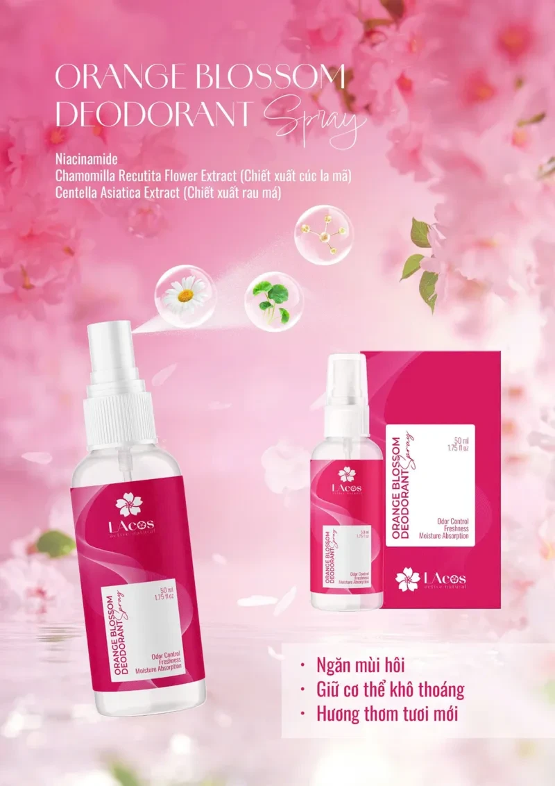 COMBO THƠM CẢ NGÀY