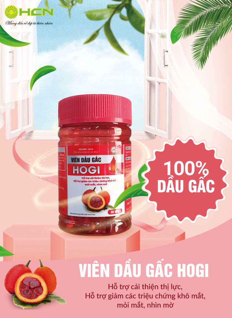 VIÊN DẦU GẤC HOGI - TĂNG CƯỜNG THỊ LỰC, GIẢM LÃO HÓA